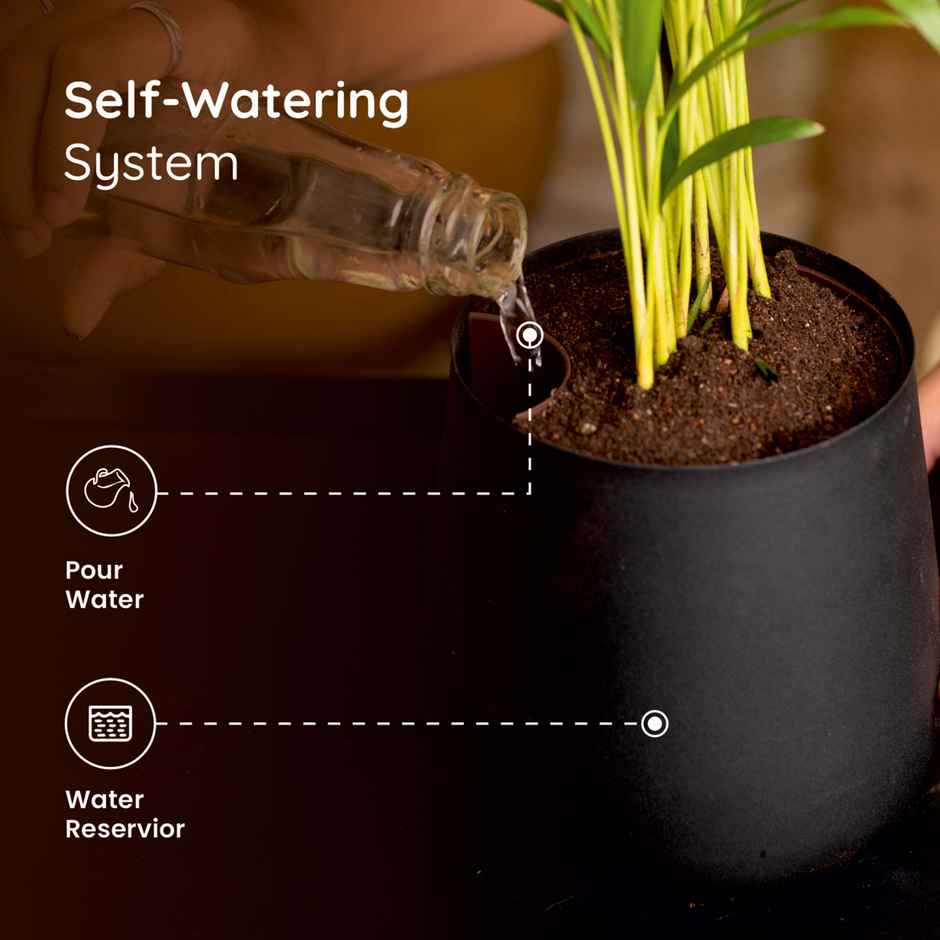 Kyari Aura Planter | 6 Inch | Pack of 1 | Black | Garden Accessory