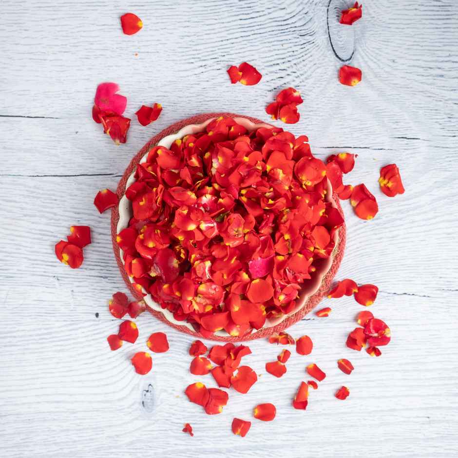 Rose Petals