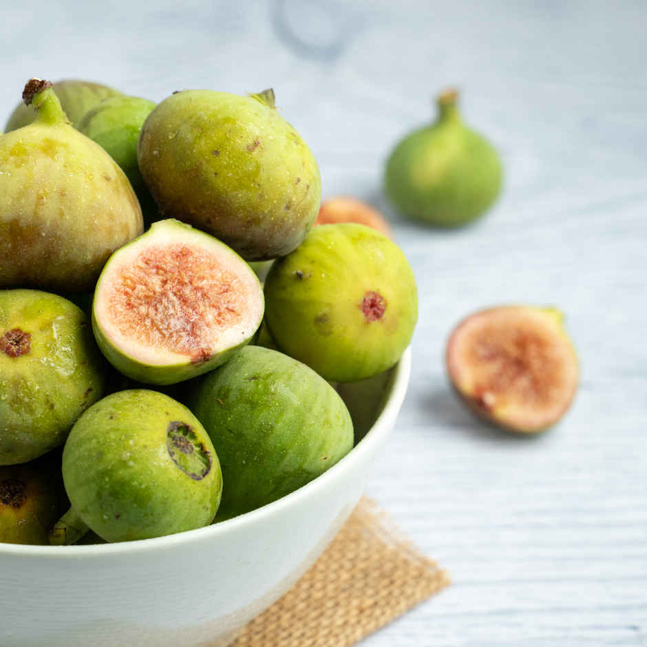 Fig