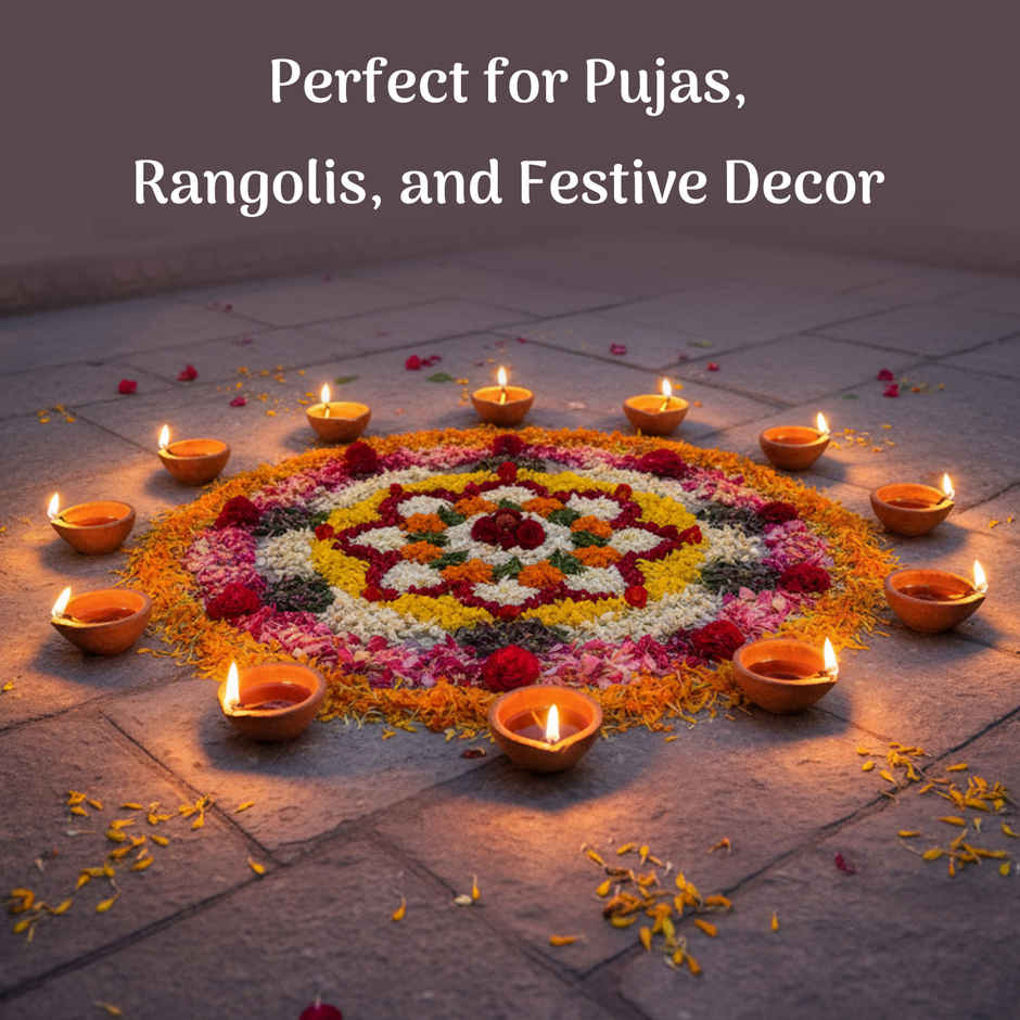 Navin Handmade Mitti Diya | Kacha Diya | Traditional | Clay | Pack Of 12 | Cycle