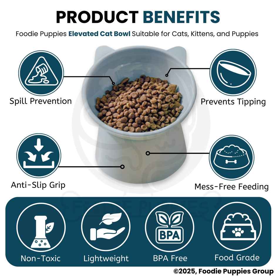 Foodie Puppies Elevated Pet Bowl 45 Degree Tilted Anti Vomiting Feeder