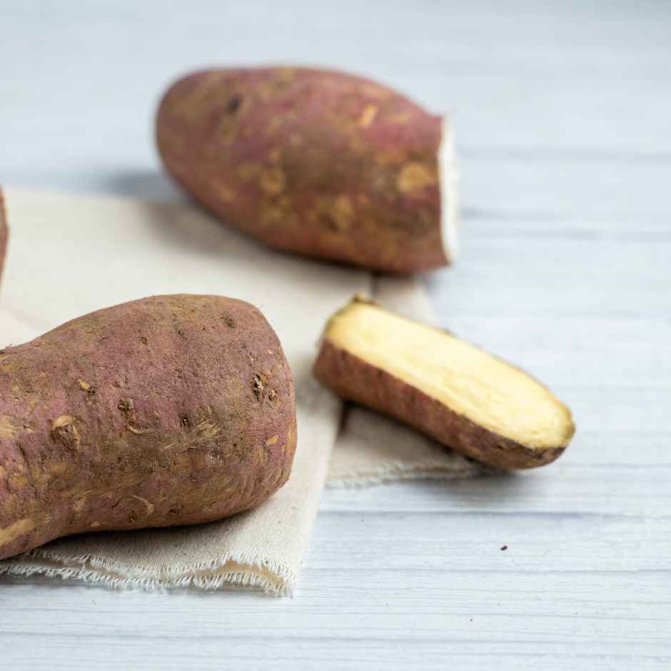 Sweet Potato