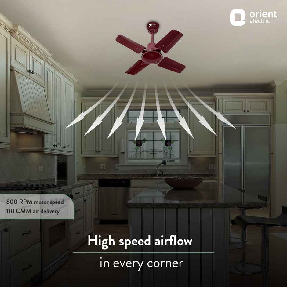 Orient Electric New Air Plus Ceiling Fan, 600mm, 24 Inch Fan, 4 Blade, 100% Copper Motor, Brown