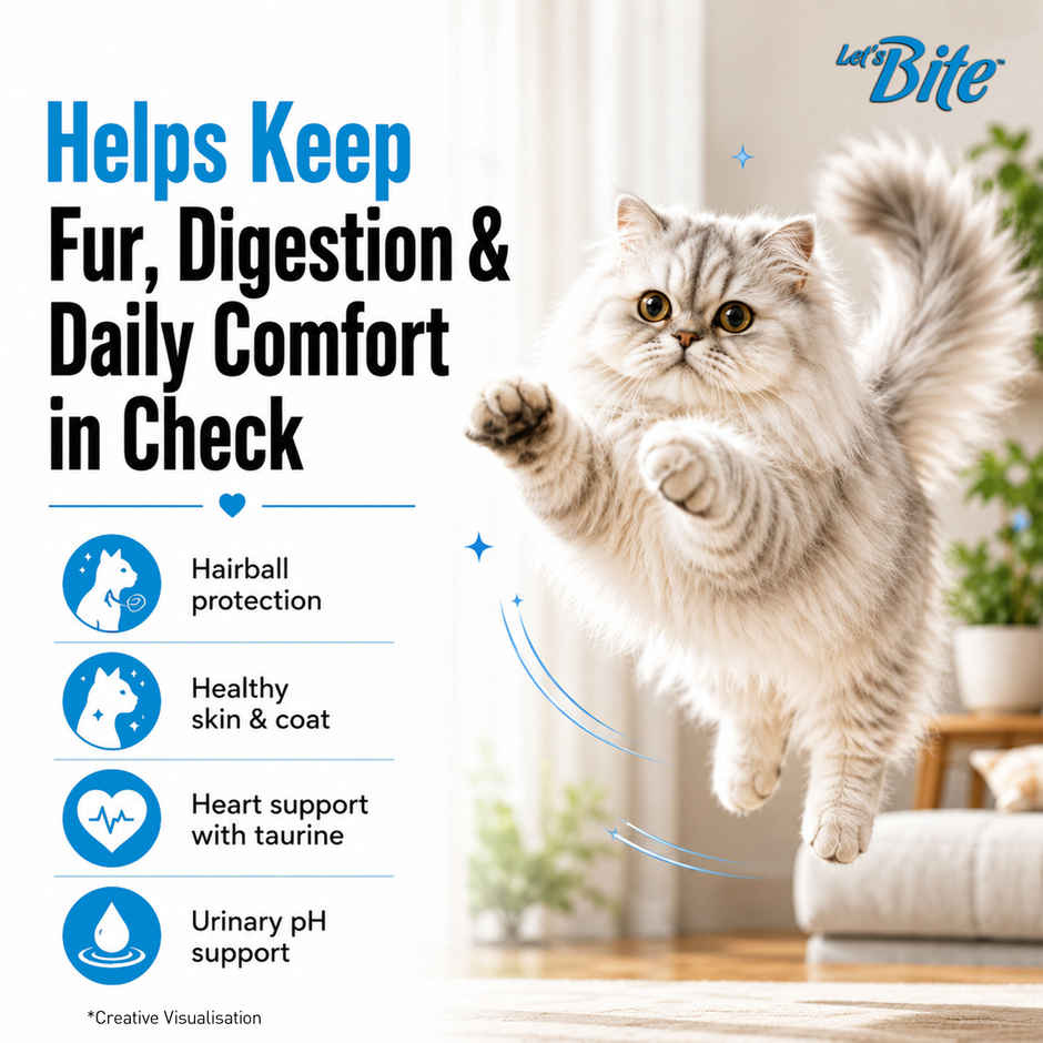 Let's Bite Active Adult Dry Cat Food (Buy 1 Get 1 Free)
