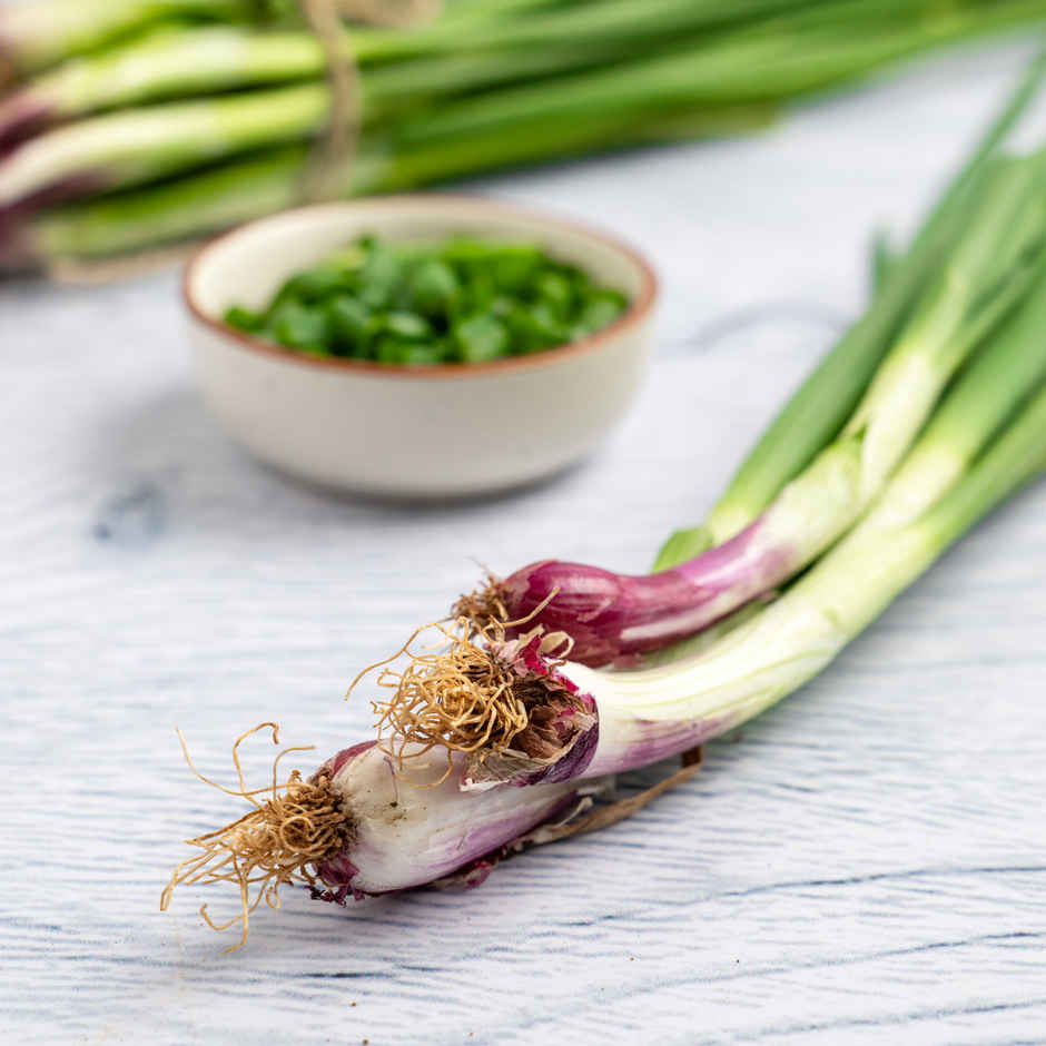 Spring Onion