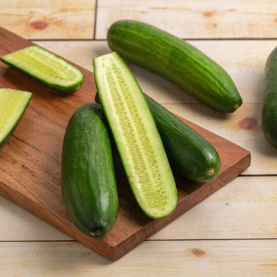 Hydroponic Cucumber English