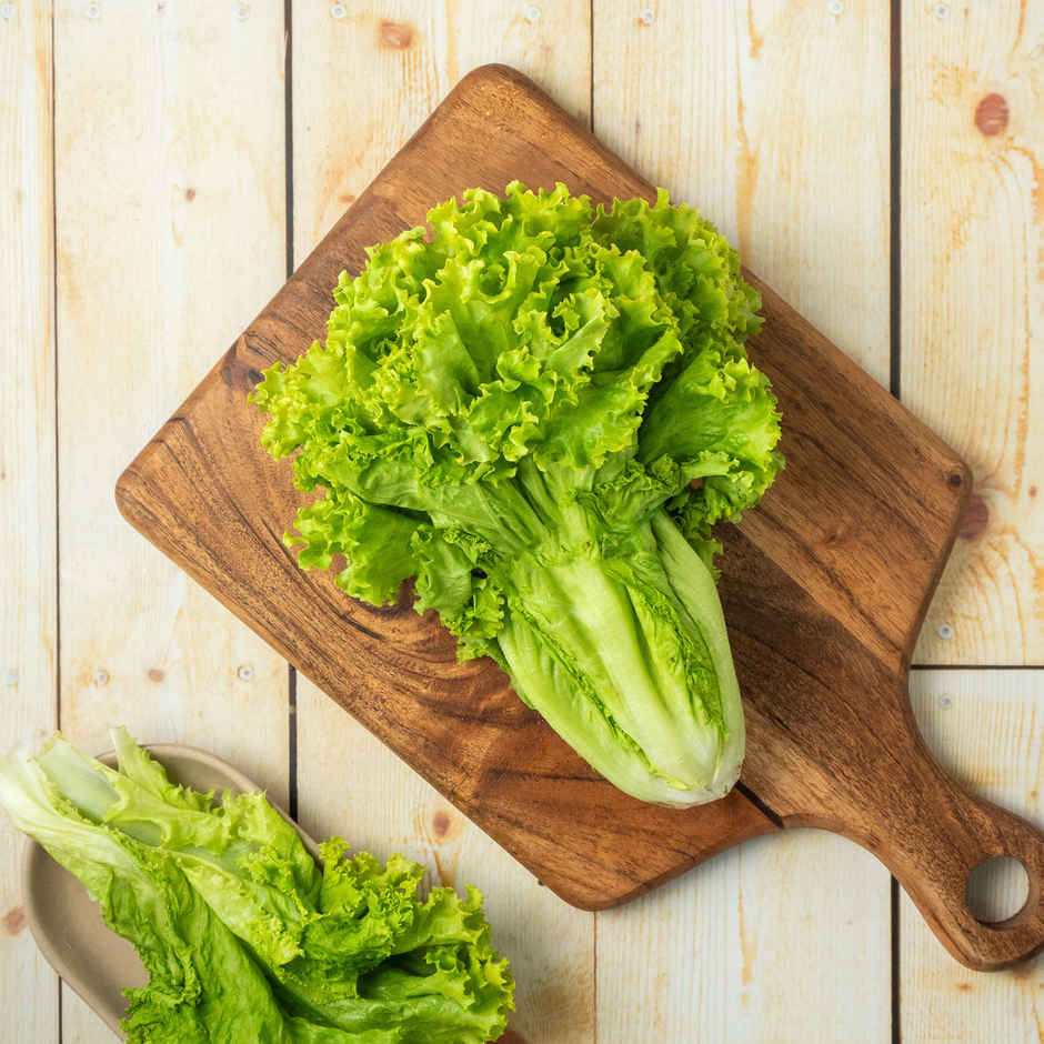 Lettuce Green