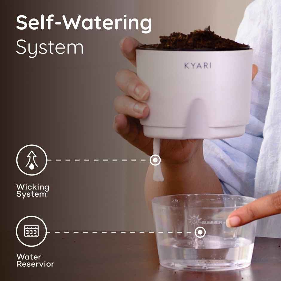 Kyari Self Watering 4 Inch Pot| White | Pack of 1 | Garden Accessory