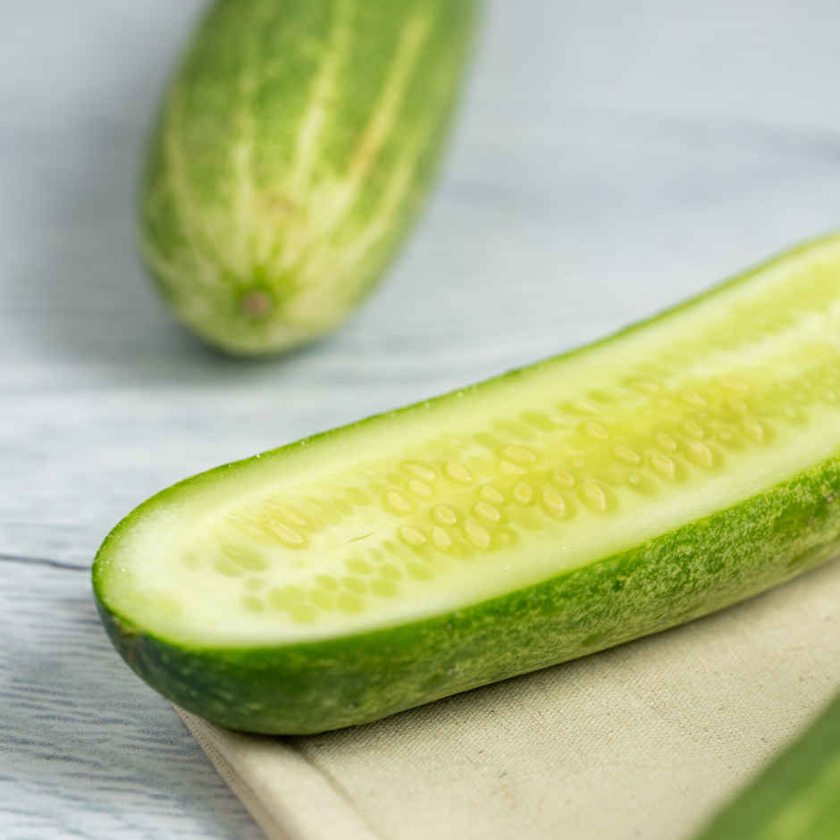 Cucumber Green/Kheera Dosakaya