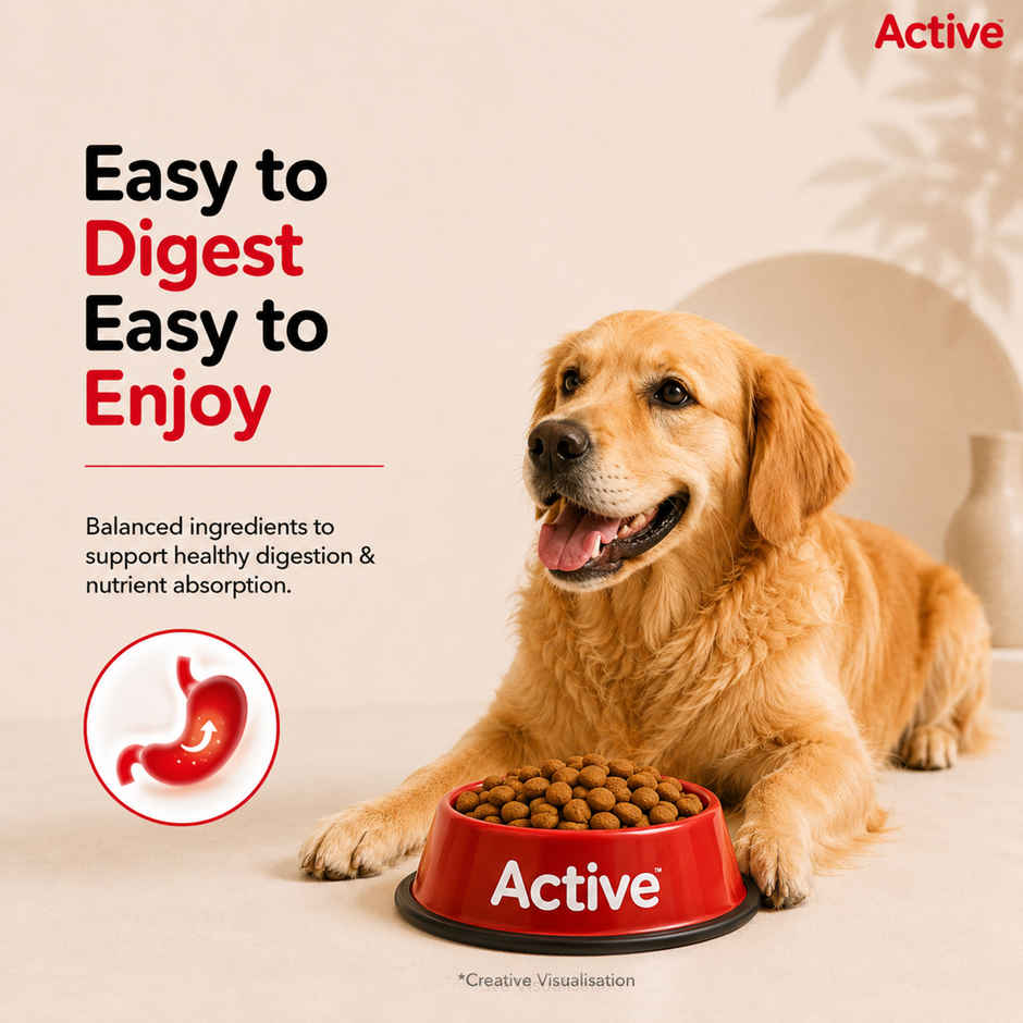 Active Adult Chicken And Vegetables Dry Dog Food