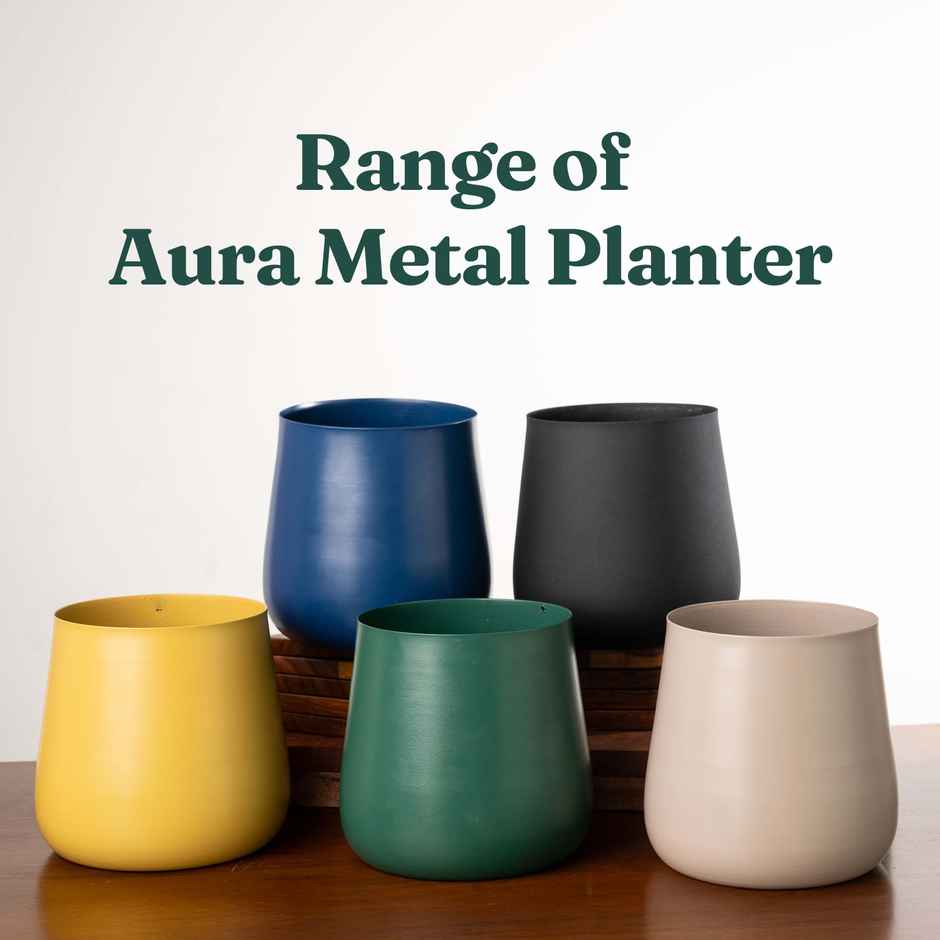 Kyari Aura Metal Planter | 6 Inch | Pack of 1 | Cream | Garden Accessory