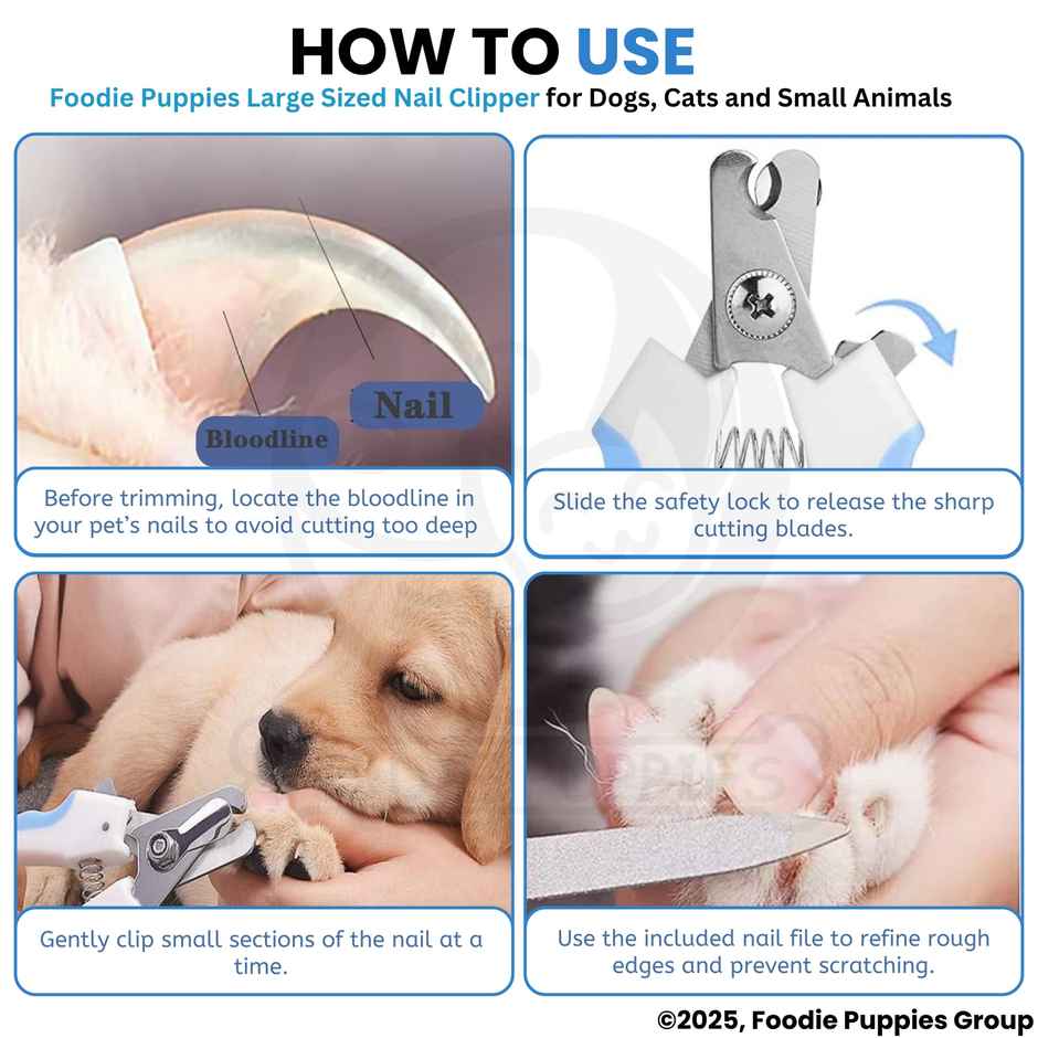Foodie Puppies Nail Clipper for Pets | Large