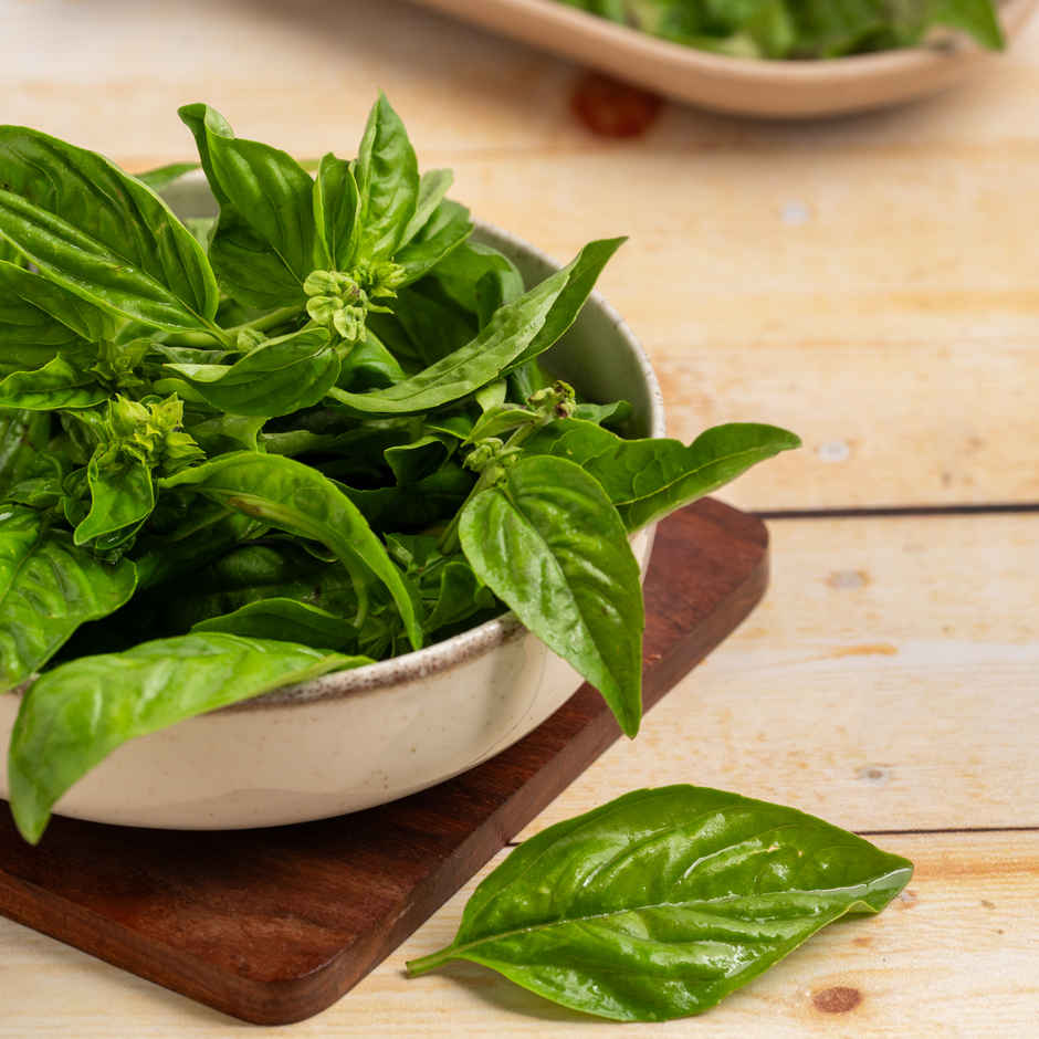 Basil Combo