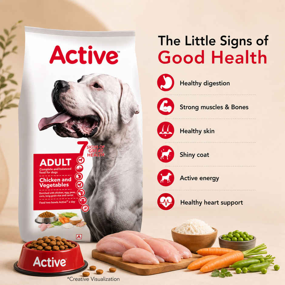 Active Adult Chicken And Vegetables Dry Dog Food