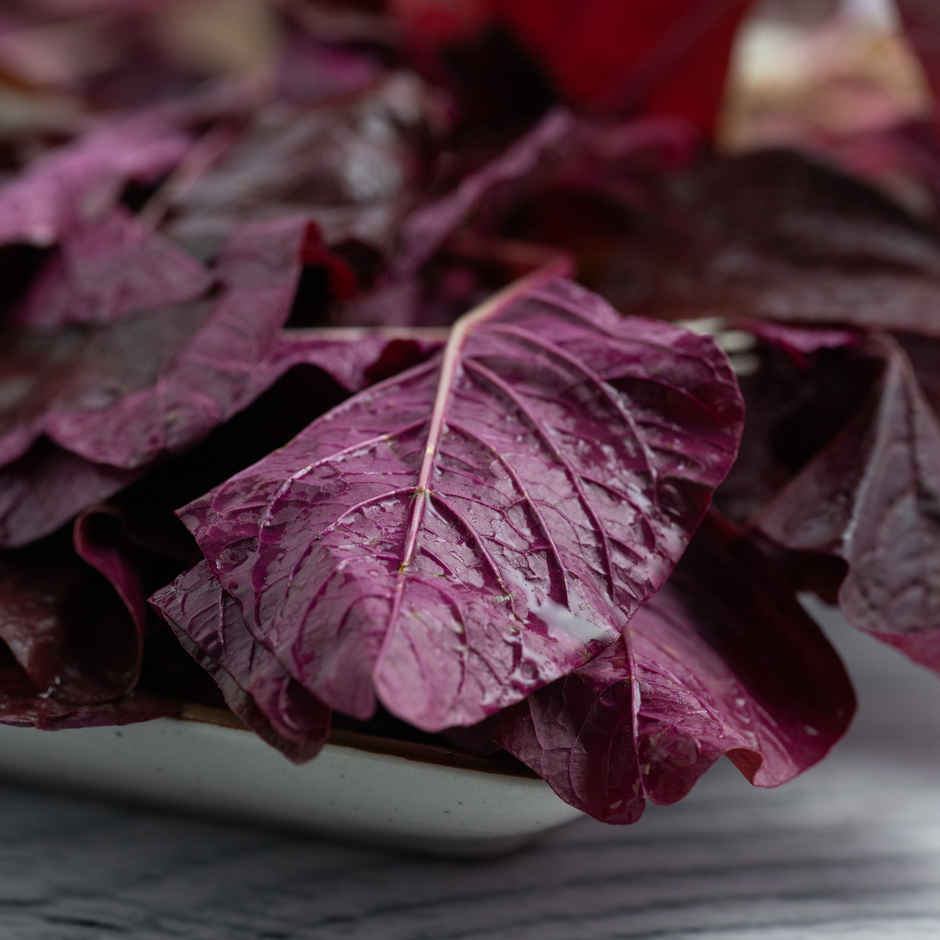 Amaranthus Red Combo