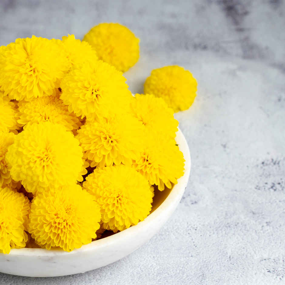 Chrysanthemum Yellow(100gms) & Chrysanthemum White(100gms) Combo