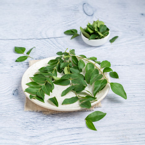 Curry Leaves - Cleaned, without roots