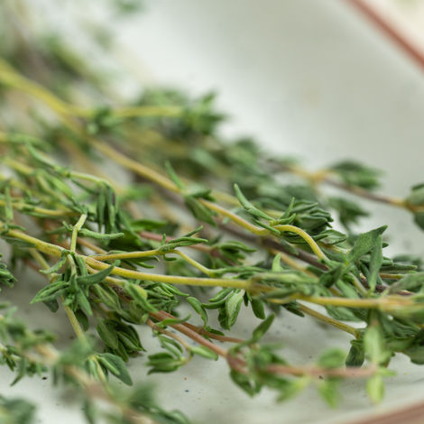 Thyme