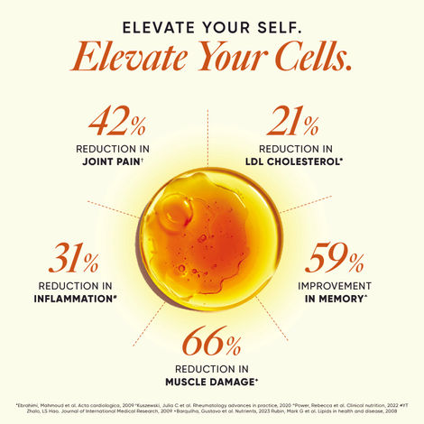 Wellbeing Nutrition Slow Triple Strength Omega-3 Fish Oil, Curcumin Extract For Brain,Joint & Heart