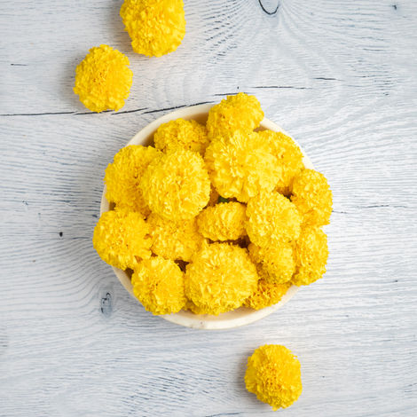 Marigold Yellow Flower