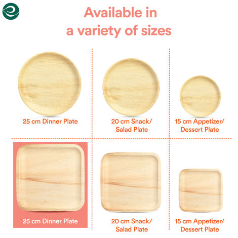 Eco Soul 10 Inch Square | 10 Count | Palm Leaf Plate