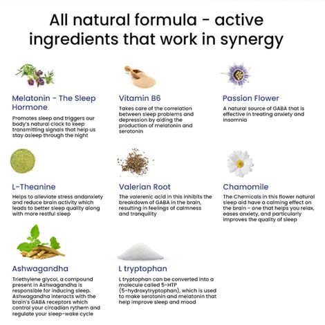 Wellbeing Nutrition Melts Restful Sleep Strips | Plant-Based Melatonin 10mg for Sleep 30 Strips