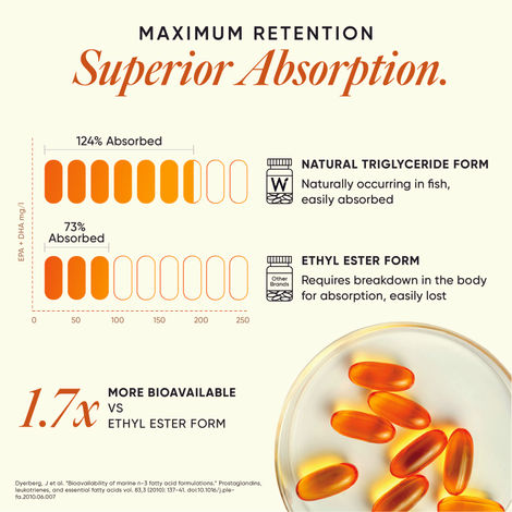 Wellbeing Nutrition Slow Triple Strength Omega-3 Fish Oil, Curcumin Extract For Brain,Joint & Heart
