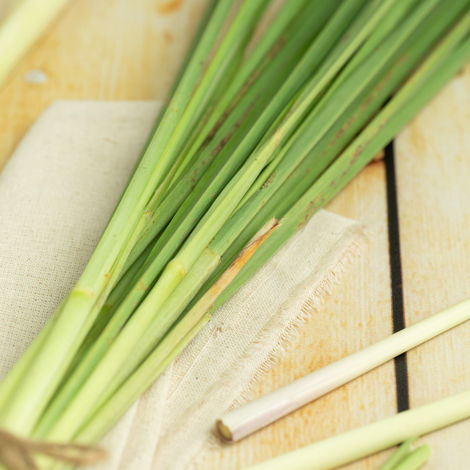 Lemon Grass 100GRAM