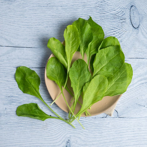 Spinach - Cleaned, without roots