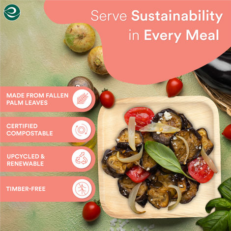 Eco Soul 6 inch Square | 10 Count | Palm Leaf Plate