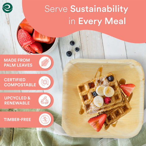 Eco Soul 500 ml Square | 10 Count | Palm Leaf Bowl