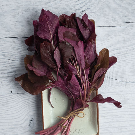 Amaranthus Red