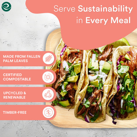 Eco Soul 10 Inch Square | 10 Count | Palm Leaf Plate