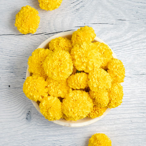 Marigold Yellow Flower