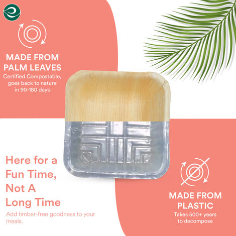Eco Soul 500 ml Square | 10 Count | Palm Leaf Bowl