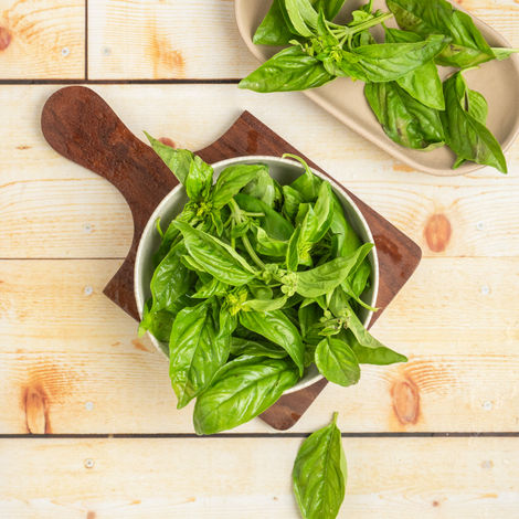 Basil Leaves