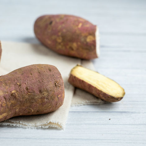 Sweet Potato