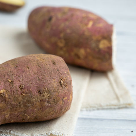 Sweet Potato