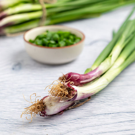 Spring Onion