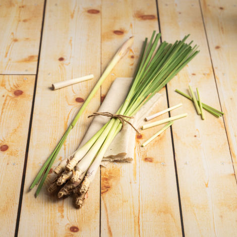 Lemon Grass 100GRAM