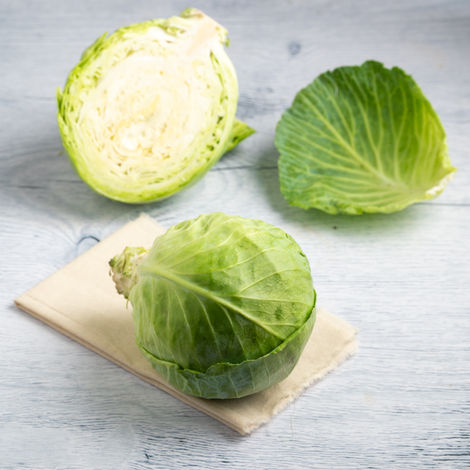 Cabbage