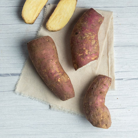 Sweet Potato