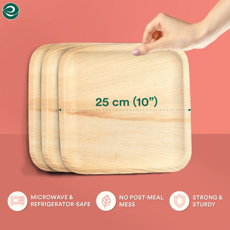 Eco Soul 10 Inch Square | 10 Count | Palm Leaf Plate