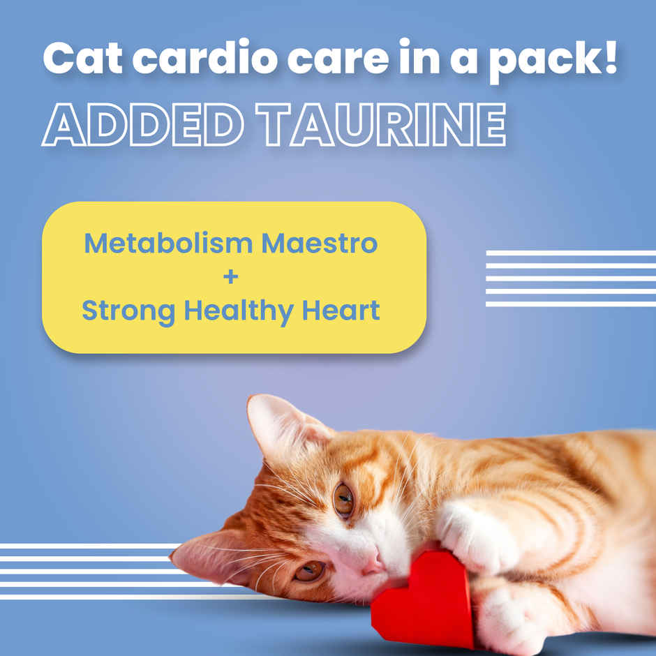 Bark Out Loud Cat Treat - Hairball Control Cat Pillows with Taurine & Vitamin E (Made in Spain)