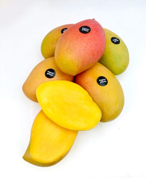 Superplum Mango Totapuri
