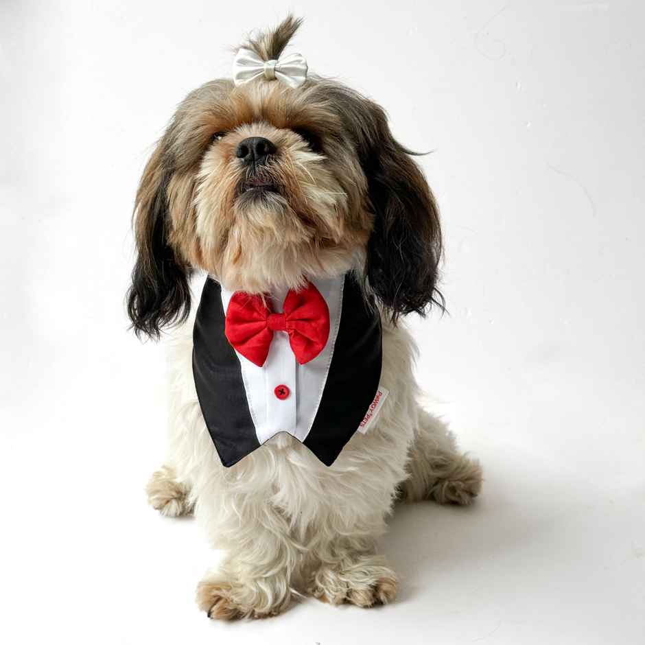 Pawgy Pets Formal Tux Bandana Black For Dogs And Cats | L