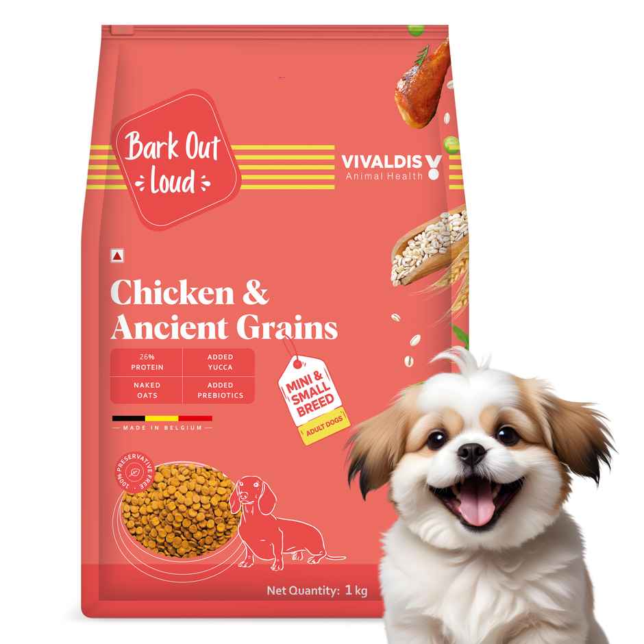 Bark Out Loud | Chicken & Ancient Grains Dog Food for Mini/Small Breed | Made in Belgium Kibbles