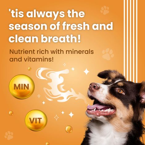 Bark Out Loud Dental Stick-Removes Plaque & Tartar, No Sugar Dog Treats