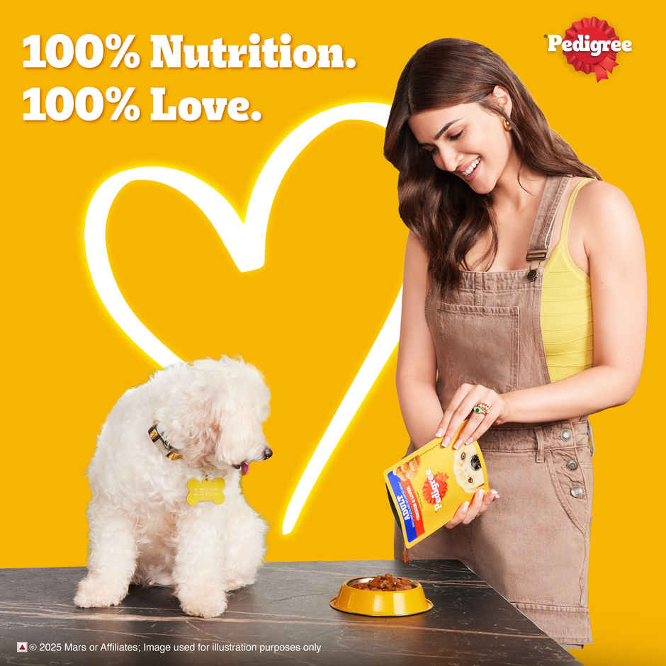 Pedigree Adult Roasted Lamb Flavour Chunks In Gravy Wet Dog Food