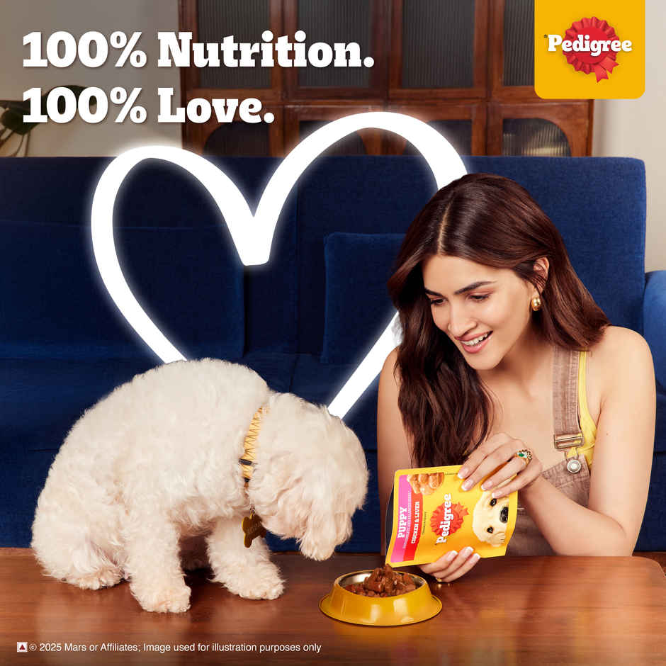 Pedigree Puppy Chicken & Liver Chunks In Gravy Wet Dog Food Combo